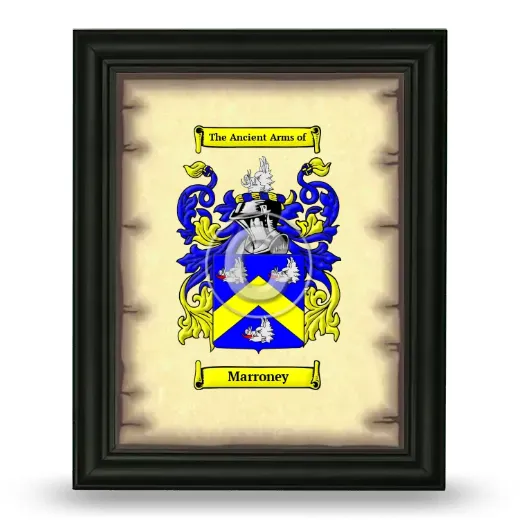 Marroney Coat of Arms Framed - Black
