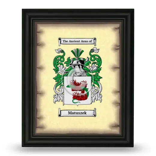 Matuszek Coat of Arms Framed - Black