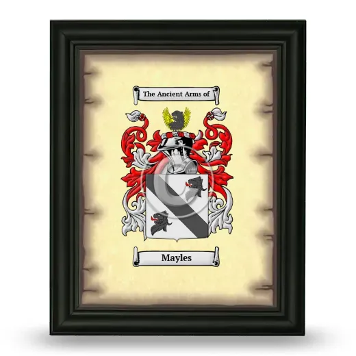 Mayles Coat of Arms Framed - Black