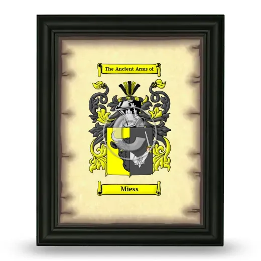 Miess Coat of Arms Framed - Black