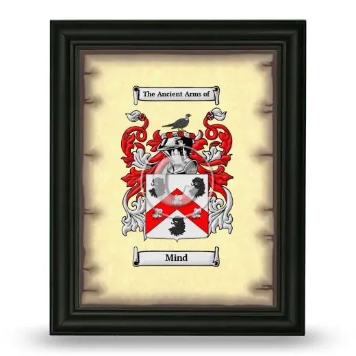 Mind Coat of Arms Framed - Black