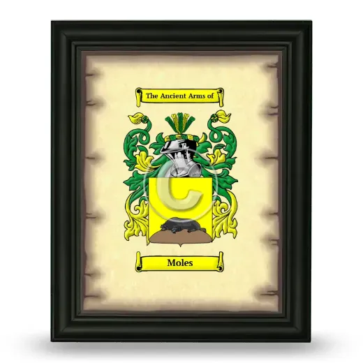 Moles Coat of Arms Framed - Black