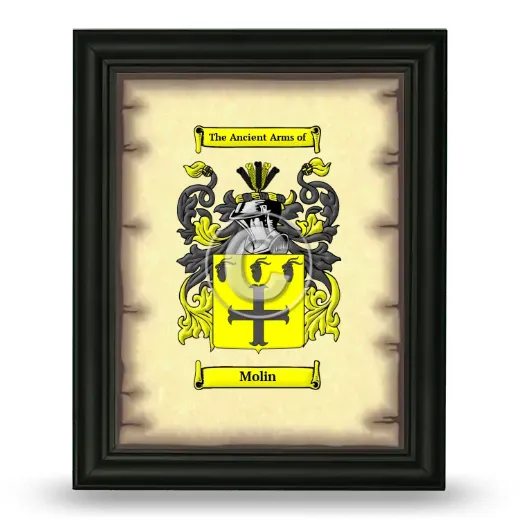 Molin Coat of Arms Framed - Black