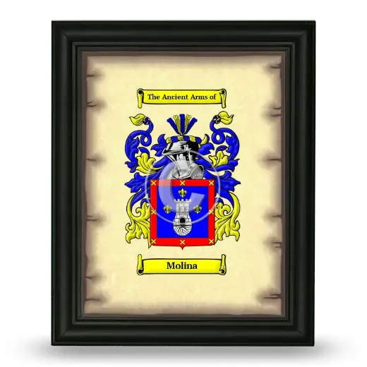 Molina Coat of Arms Framed - Black