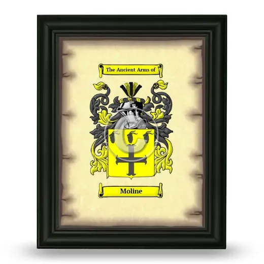 Moline Coat of Arms Framed - Black