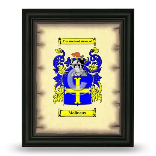 Molineux Coat of Arms Framed - Black