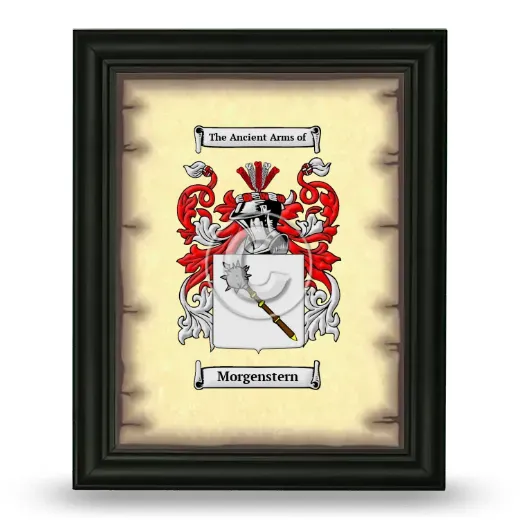 Morgenstern Coat of Arms Framed - Black