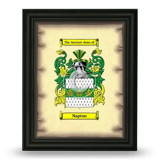 Napton Coat of Arms Framed - Black