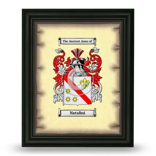 Natalini Coat of Arms Framed - Black