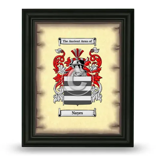 Nayes Coat of Arms Framed - Black
