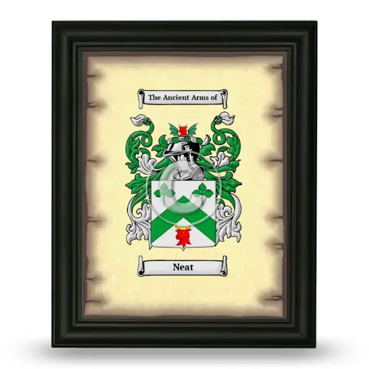 Neat Coat of Arms Framed - Black