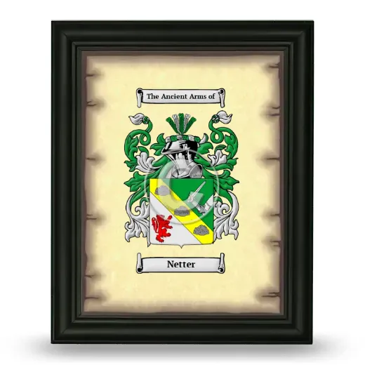 Netter Coat of Arms Framed - Black