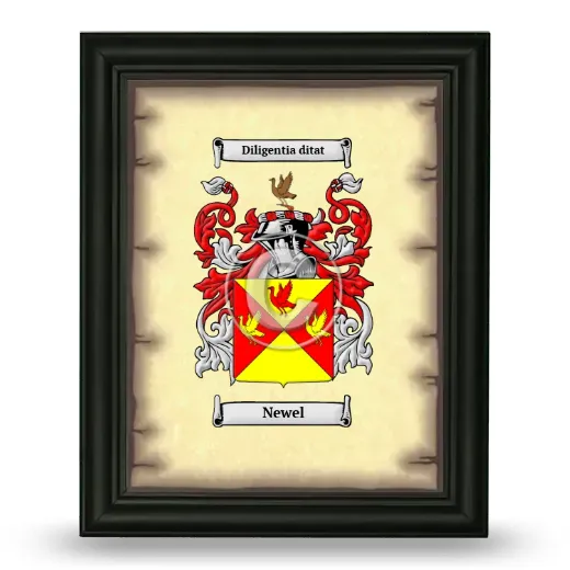 Newel Coat of Arms Framed - Black