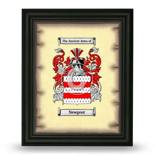 Newgent Coat of Arms Framed - Black