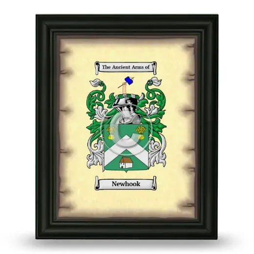 Newhook Coat of Arms Framed - Black
