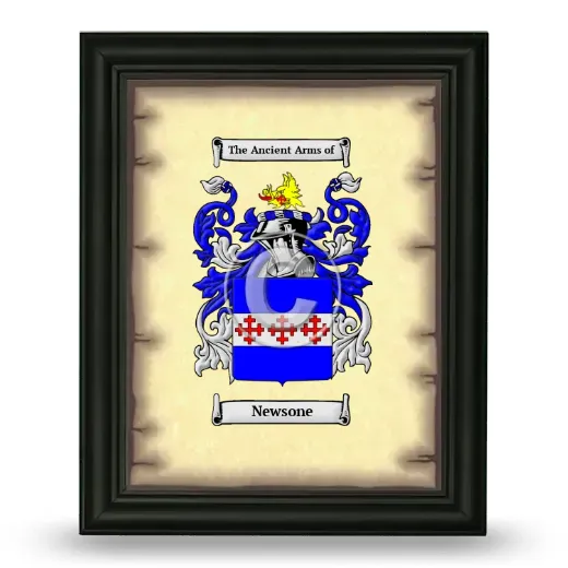 Newsone Coat of Arms Framed - Black