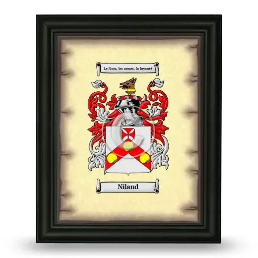 Niland Coat of Arms Framed - Black