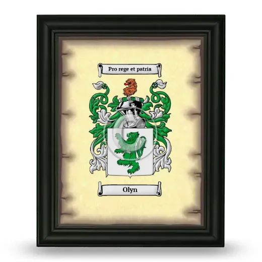 Olyn Coat of Arms Framed - Black