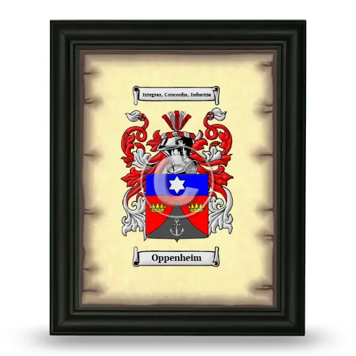 Oppenheim Coat of Arms Framed - Black