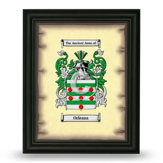 Orleans Coat of Arms Framed - Black