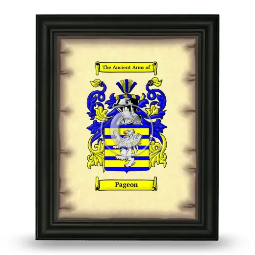 Pageon Coat of Arms Framed - Black