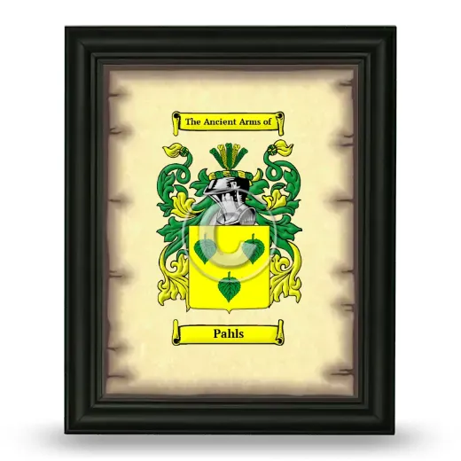 Pahls Coat of Arms Framed - Black