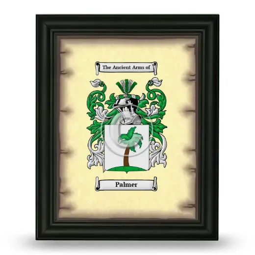 Palmer Coat of Arms Framed - Black