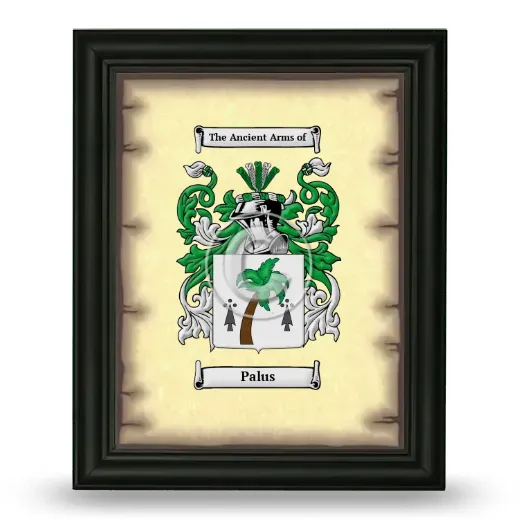 Palus Coat of Arms Framed - Black