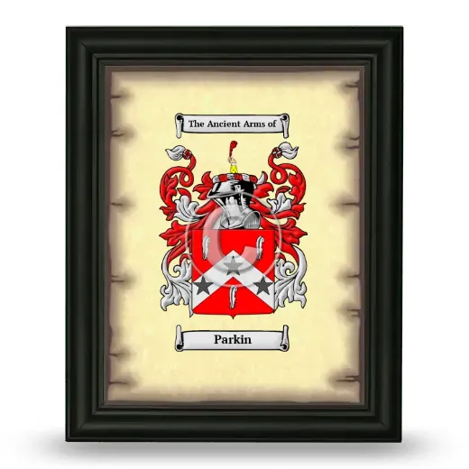 Parkin Coat of Arms Framed - Black