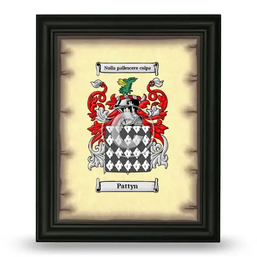 Pattyn Coat of Arms Framed - Black