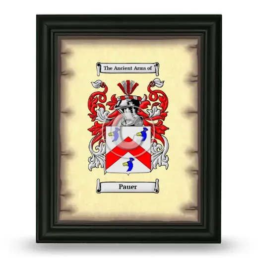 Pauer Coat of Arms Framed - Black