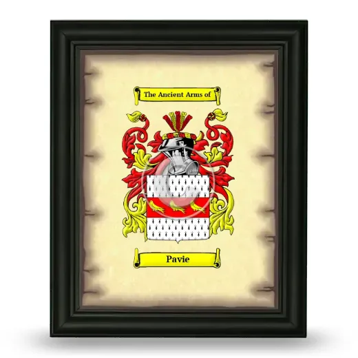 Pavie Coat of Arms Framed - Black