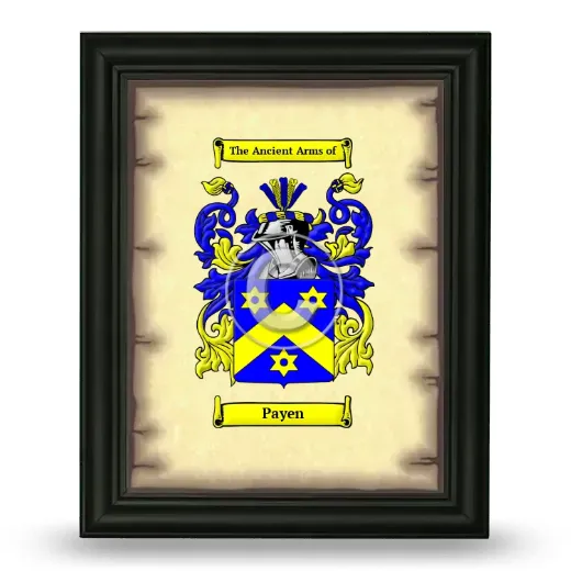 Payen Coat of Arms Framed - Black