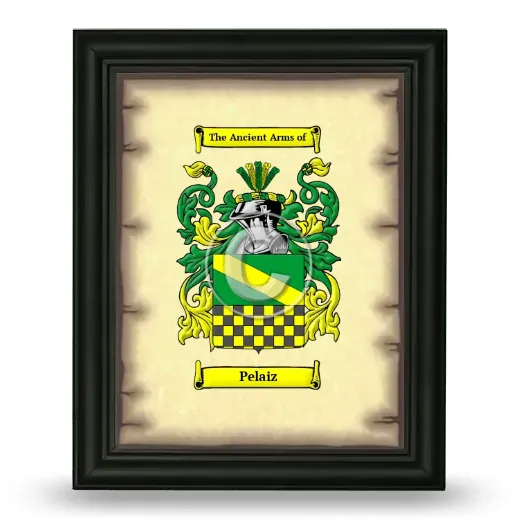 Pelaiz Coat of Arms Framed - Black