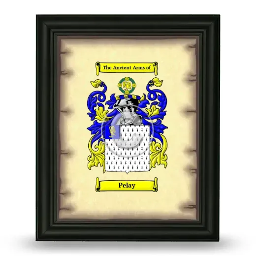 Pelay Coat of Arms Framed - Black