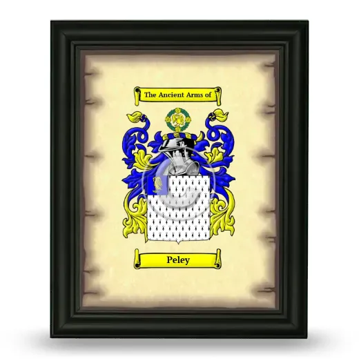 Peley Coat of Arms Framed - Black