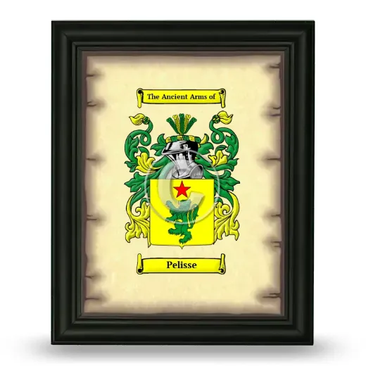 Pelisse Coat of Arms Framed - Black