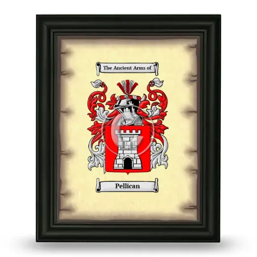 Pellican Coat of Arms Framed - Black