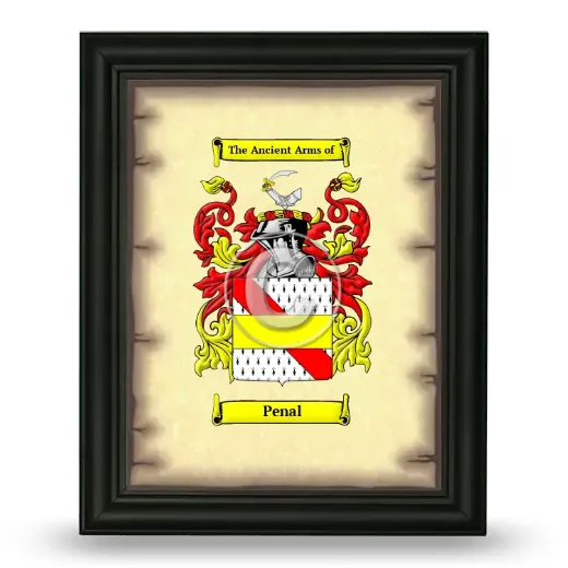Penal Coat of Arms Framed - Black