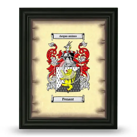 Penant Coat of Arms Framed - Black