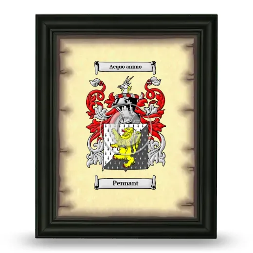 Pennant Coat of Arms Framed - Black