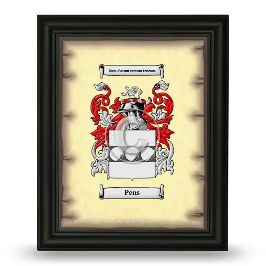 Pens Coat of Arms Framed - Black