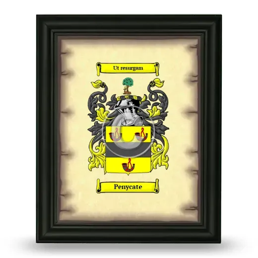 Penycate Coat of Arms Framed - Black