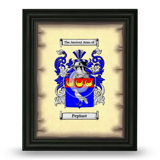 Pepinot Coat of Arms Framed - Black