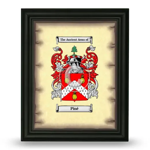 Piné Coat of Arms Framed - Black