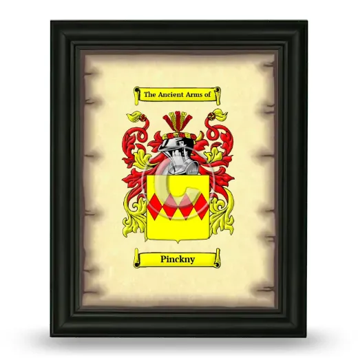 Pinckny Coat of Arms Framed - Black