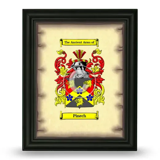 Pinech Coat of Arms Framed - Black