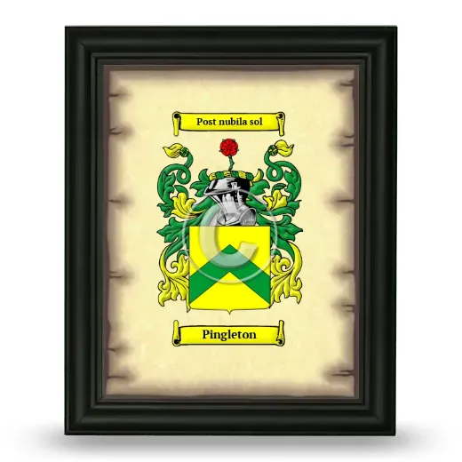Pingleton Coat of Arms Framed - Black