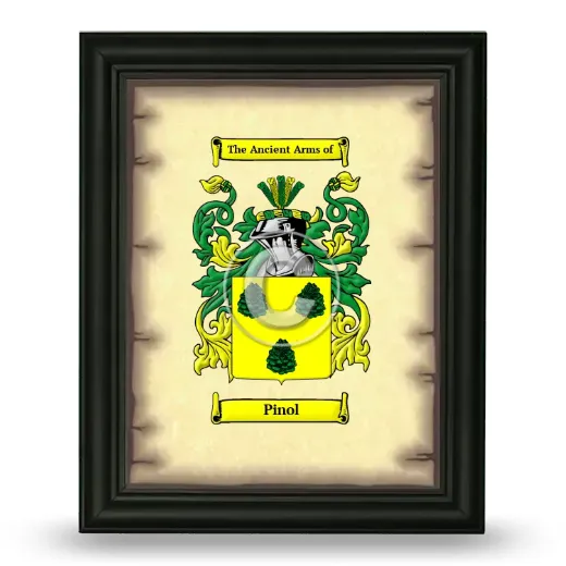 Pinol Coat of Arms Framed - Black