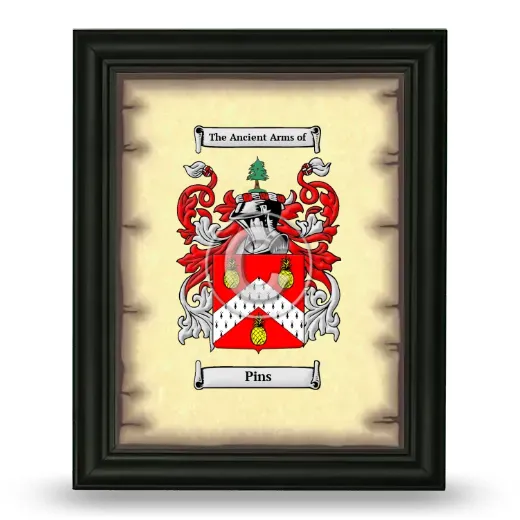 Pins Coat of Arms Framed - Black